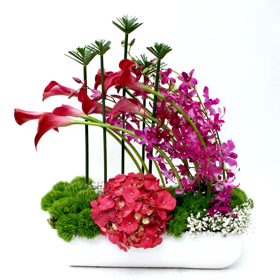 Arreglo Floral Orquideas Callas y Hortensias | ANIMO