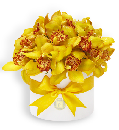 Bouquet Orquideas Cymbidium Amarillas | AMELIE
