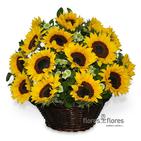 Canasto con 20 Girasoles | KLEIN