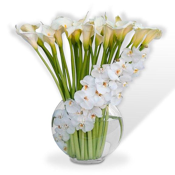 Orquídeas y Lindos Alcatraces | PUREZA